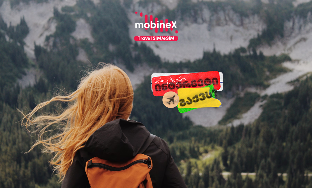 საიდან მოდის ტერმინი - ,,სამოგზაურო ინტერნეტი”