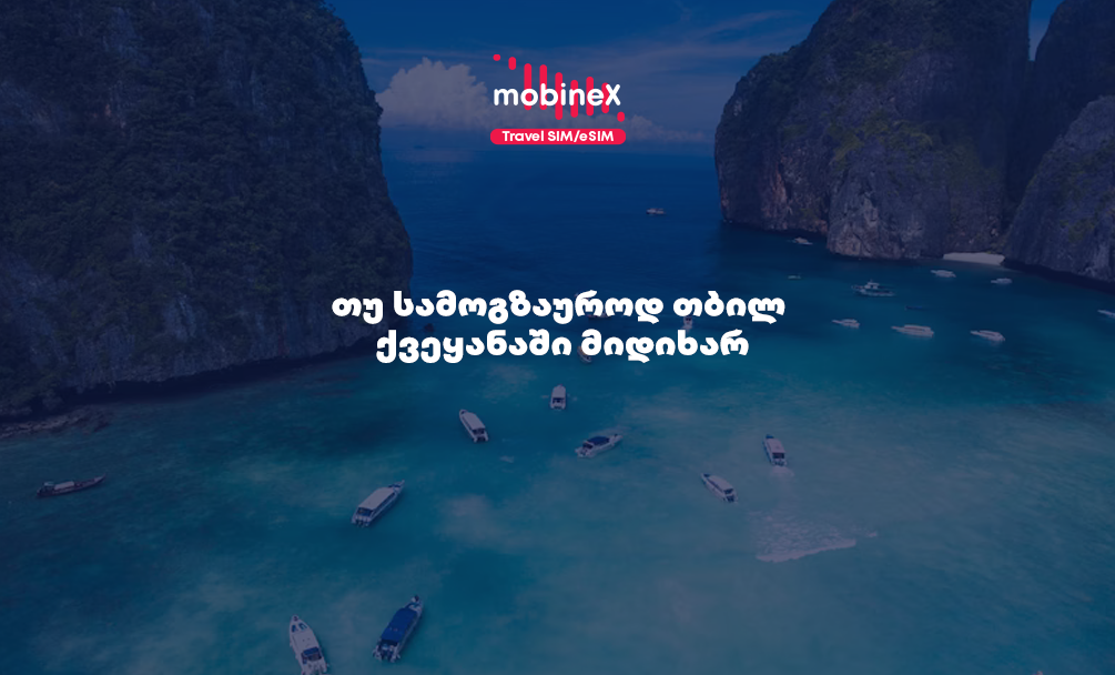 თუ ზამთრის შვებულებაში თბილი ქვეყნებისკენ მიფრინავ